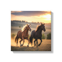 Laufend Frei bei Sonnenuntergang – Wildpferd-Duo-W