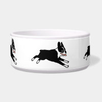 Laufende Boston-Terrier-Hundeschüssel