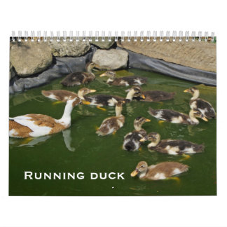 Laufende Ente Kalender