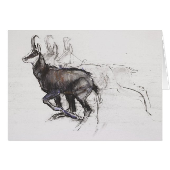 Laufende Gämse (Vorderseite (Horizontal))