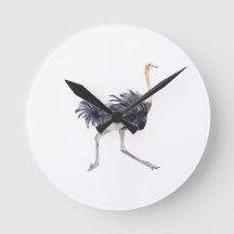 Laufende Straußenuhr