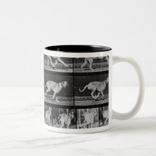 Laufender Hund, überziehen 707 "von der Zweifarbige Tasse