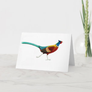 Laufender männlicher Ringneck Fasan Karte