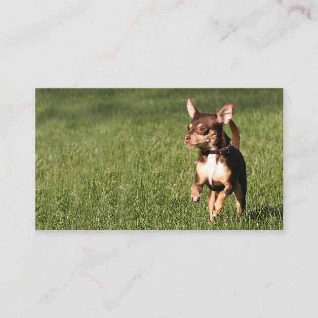 Laufendes Chihuahuageschäft oder -Visitenkarte Visitenkarte (Vorderseite)