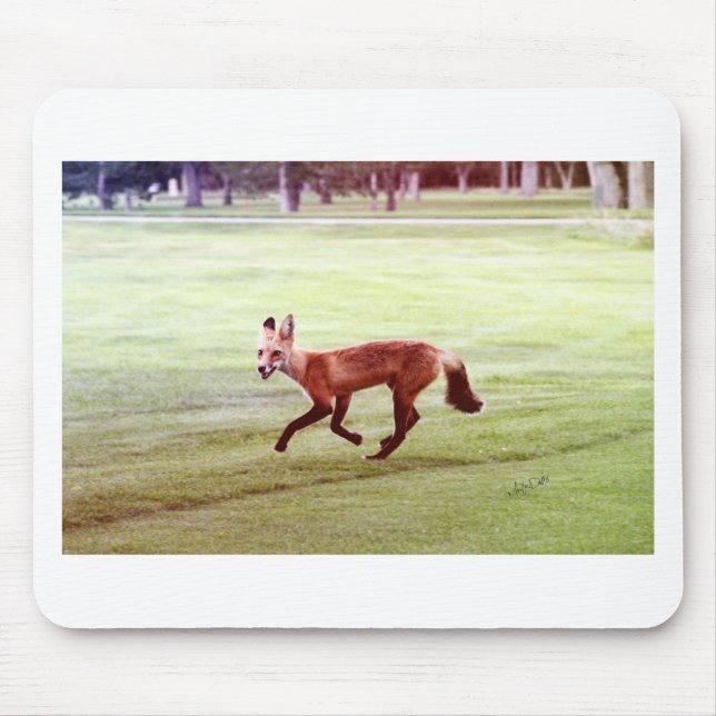 laufendes Foto von Rotfuchs Mousepad (Vorne)