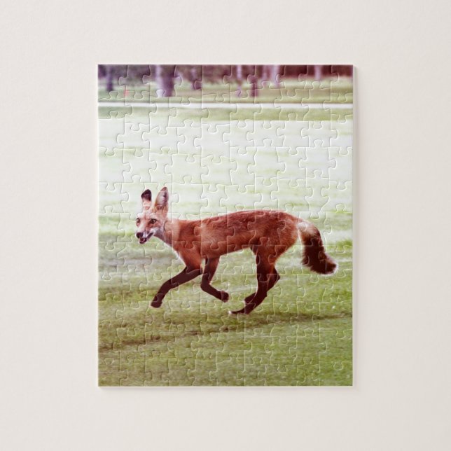 laufendes rotes Fuchs-Foto (Vertikal)