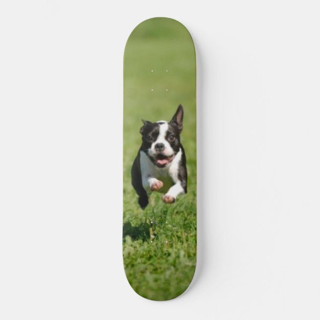 Laufendes Skateboard Bostons (Vorderseite)