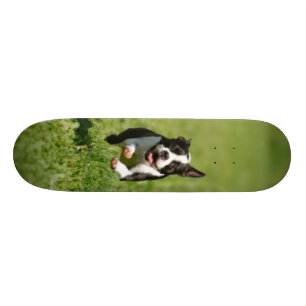 Laufendes Skateboard Bostons