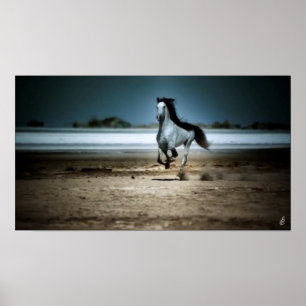 Laufendes weißes Pferd auf Strand Poster