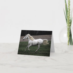 Laufendes weißes Pferd Karte