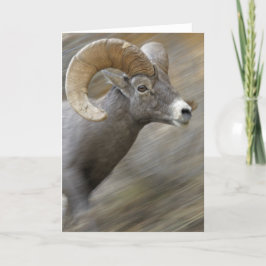 Laufendes Wüsten-Bighorn Karte