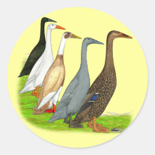 Läufer-Enten-Zusammenstellung Runder Aufkleber