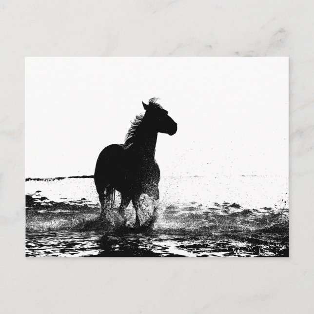 Laufpferd Postkarte (Vorderseite)