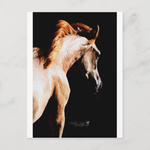 Laufpferd Postkarte