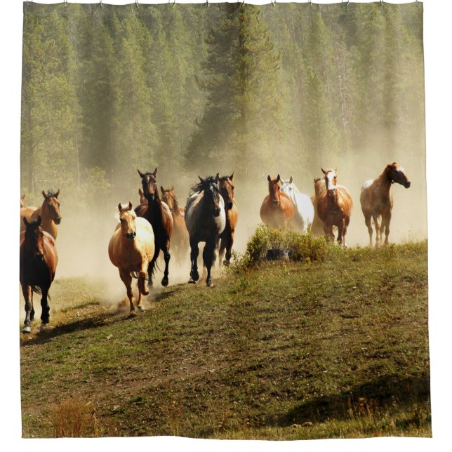 Laufpferde auf der Ranch von Montana Duschvorhang (Vorderseite)