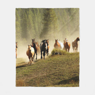 Laufpferde auf der Ranch von Montana Fleecedecke