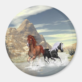 Laufpferde Magnet