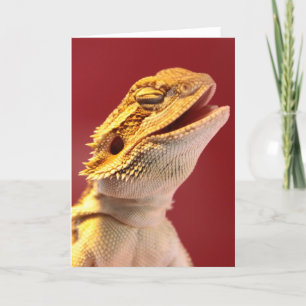 Laughing Bartded Dragon Karte