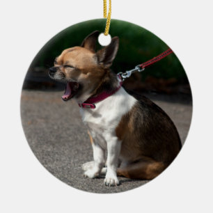 Laughing Chihuahua Keramikornament