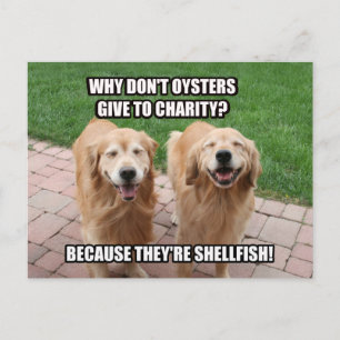 Laughing Golden Retriever Funny Shellfish Joke Postkarte