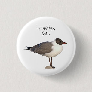 Laughing Gull Button