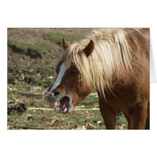 Laughing Horse
