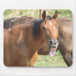 Laughing Horse Mousepad