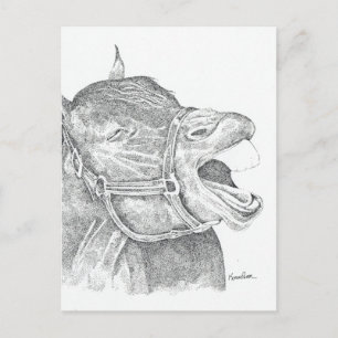Laughing Horse Postkarte