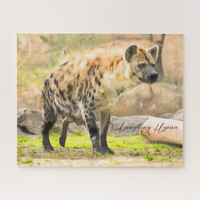 Laughing Hyena (Horizontal)