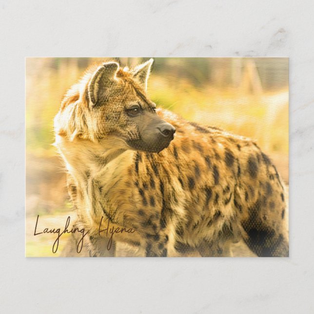 Laughing Hyena ポストカード Postkarte (Vorderseite)