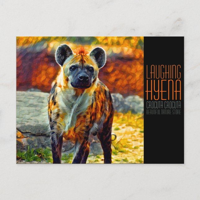 Laughing hyena [Postcard] Postkarte (Vorderseite)