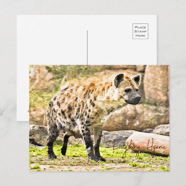 Laughing Hyena Postkarte (Vorne/Hinten)