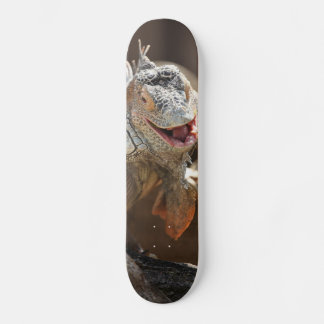 Laughing Iguana Fotografy Skateboard