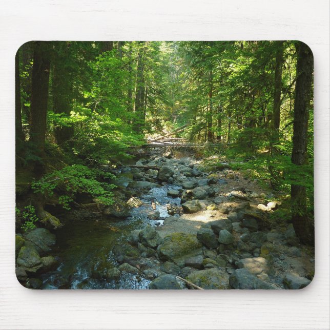 Laughingwater Crew am Monte Rainier Nationalpark Mousepad (Vorne)