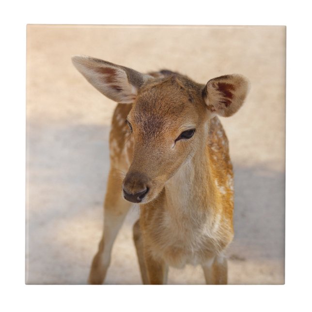 Launenhafte Waldhirsch-Fotografie Fliese (Vorderseite)