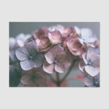 Launige Staubige Rosa-Mauve-Hortensien-Decoupage