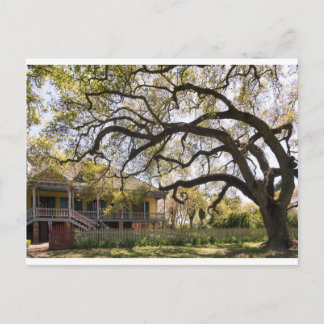 Laura Plantation, New Orlean Postkarte