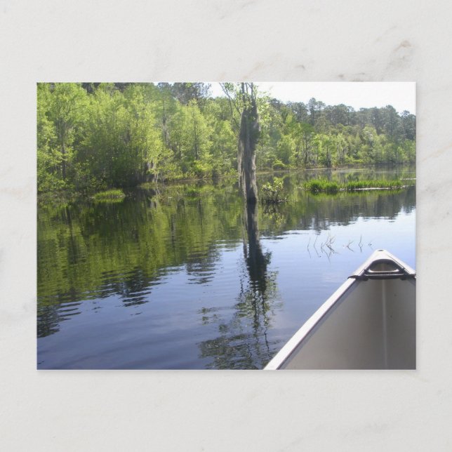 "LAURA S. WALKER STAAT PARK" POSTKARTE (Vorderseite)