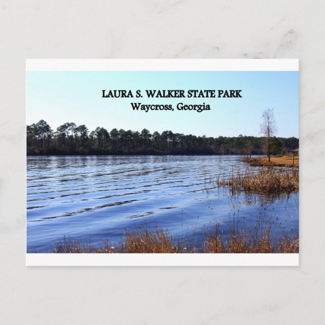 LAURA S. WALKER STAAT PARK - Waycross, Georgia Postkarte (Vorderseite)