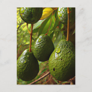 Laurales Postkarte
