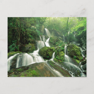 Laurel Falls, Tennessee Postkarte