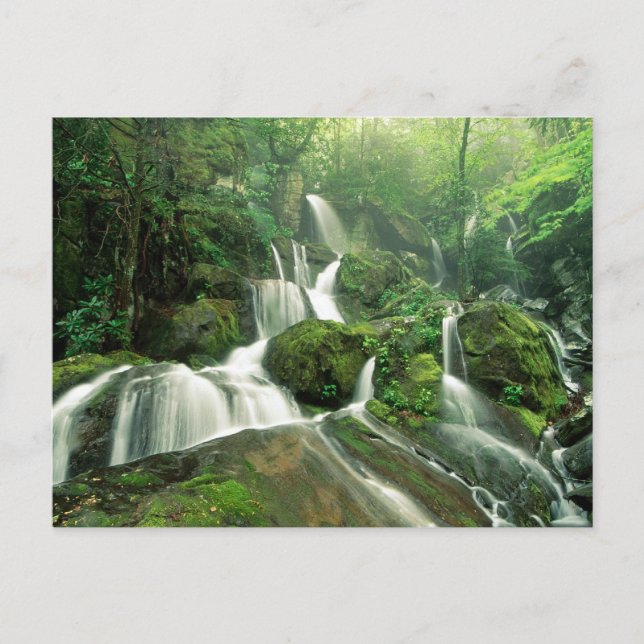 Laurel Falls, Tennessee Postkarte (Vorderseite)