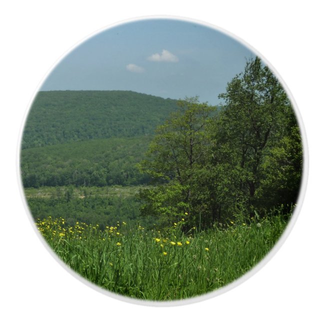 Laurel Highlands Pennsylvania Sommerfotografie Keramikknauf (Vorderseite)
