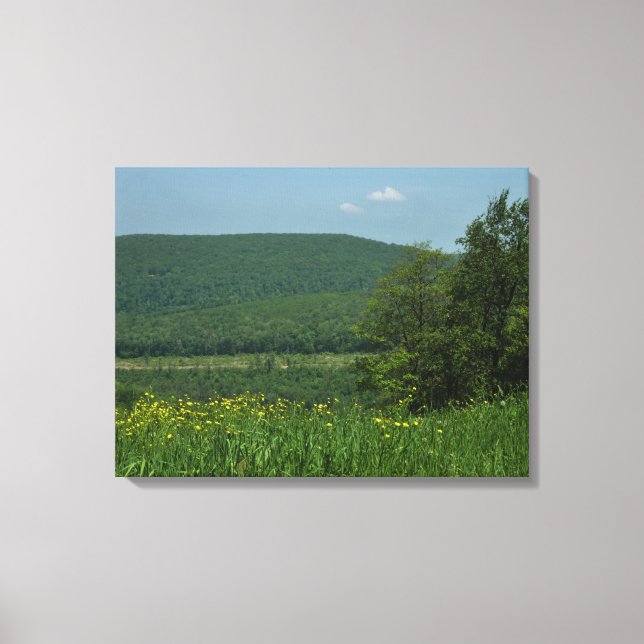 Laurel Highlands Pennsylvania Sommerfotografie Leinwanddruck (Vorderseite)