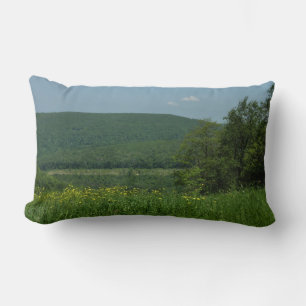 Laurel Highlands Pennsylvania Sommerfotografie Lendenkissen