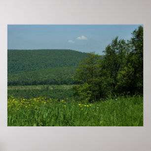 Laurel Highlands Pennsylvania Sommerfotografie Poster