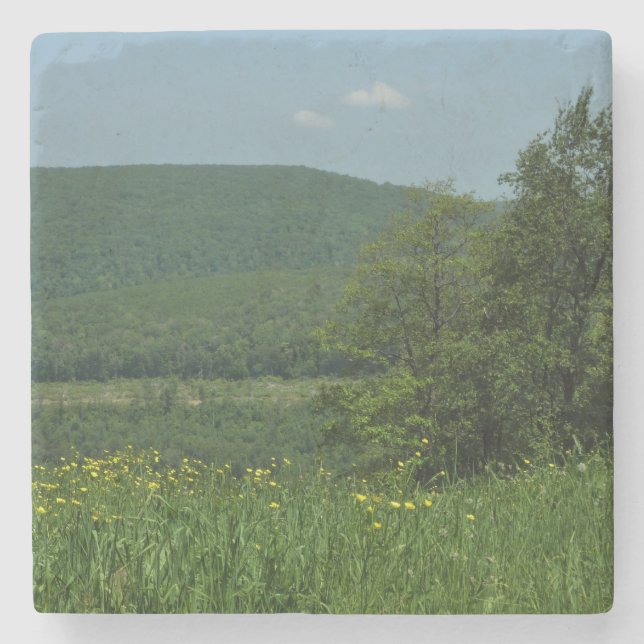 Laurel Highlands Pennsylvania Sommerfotografie Steinuntersetzer (Vorderseite)