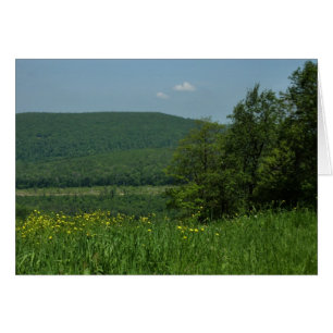Laurel Highlands Pennsylvania Summer Photography