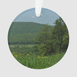 Laurel Highlands Pennsylvania Summer Photography