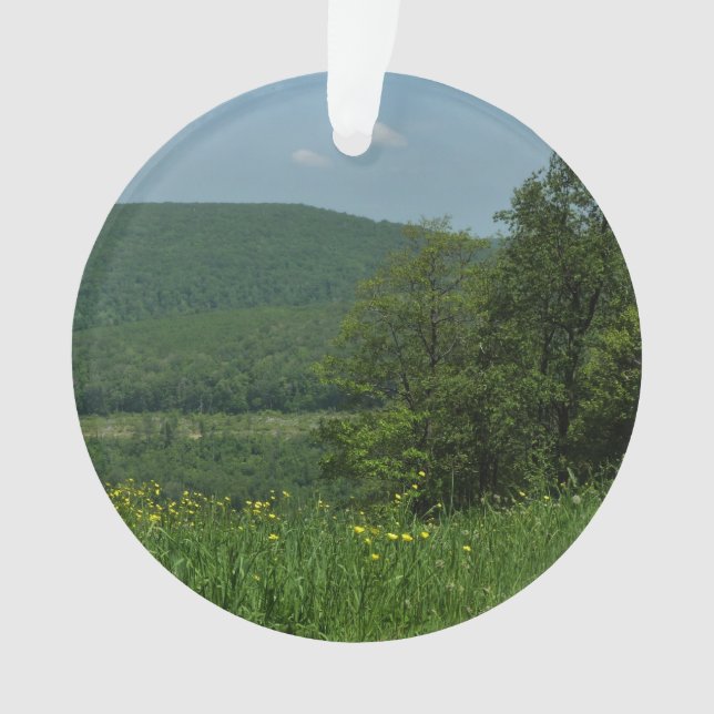 Laurel Highlands Pennsylvania Summer Photography (devant)